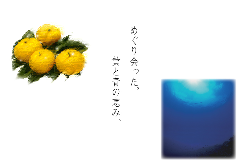 YƐ[w̕